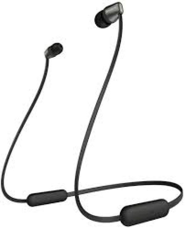 WIC310BK